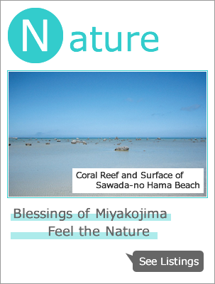 Nature:Blessings of Miyakojima. Feel the Nature.