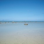 佐和田の浜珊瑚礁・礁湖面