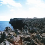 白鳥崎岩礁海岸地域