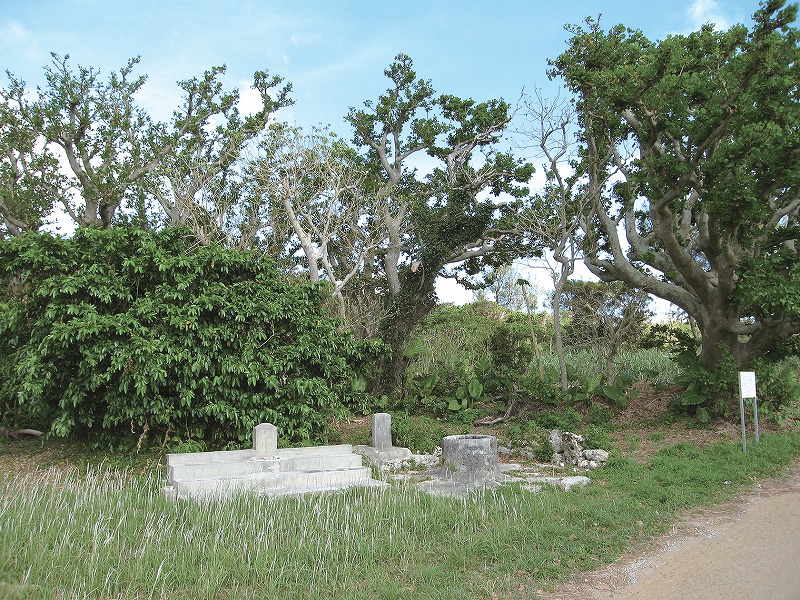 前井と御神木その周辺の植物群落